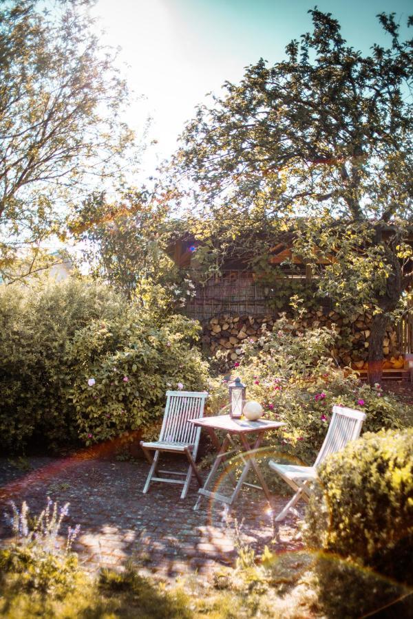 Bed & Breakfast Unter Den Linden Hungen 外观 照片