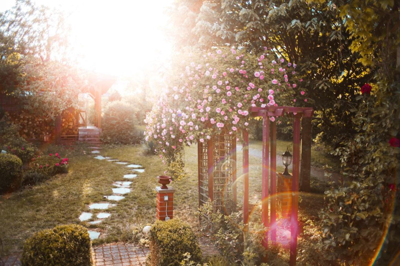 Bed & Breakfast Unter Den Linden Hungen 外观 照片