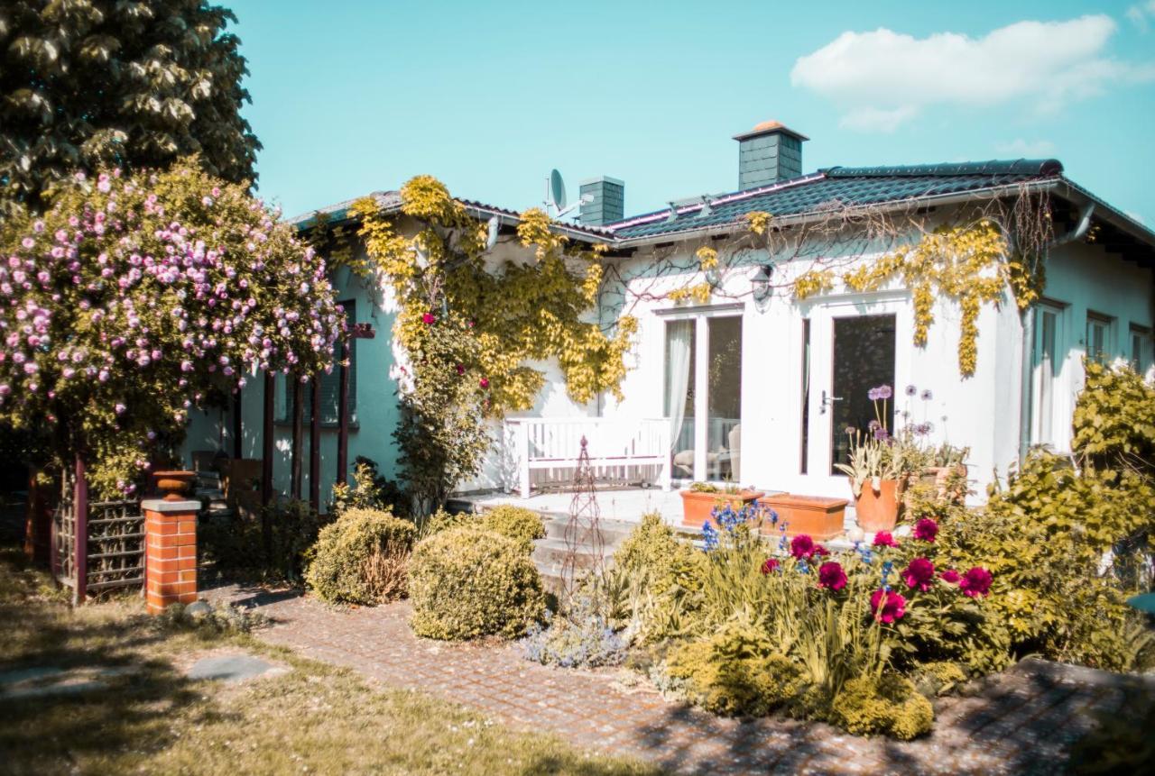 Bed & Breakfast Unter Den Linden Hungen 外观 照片