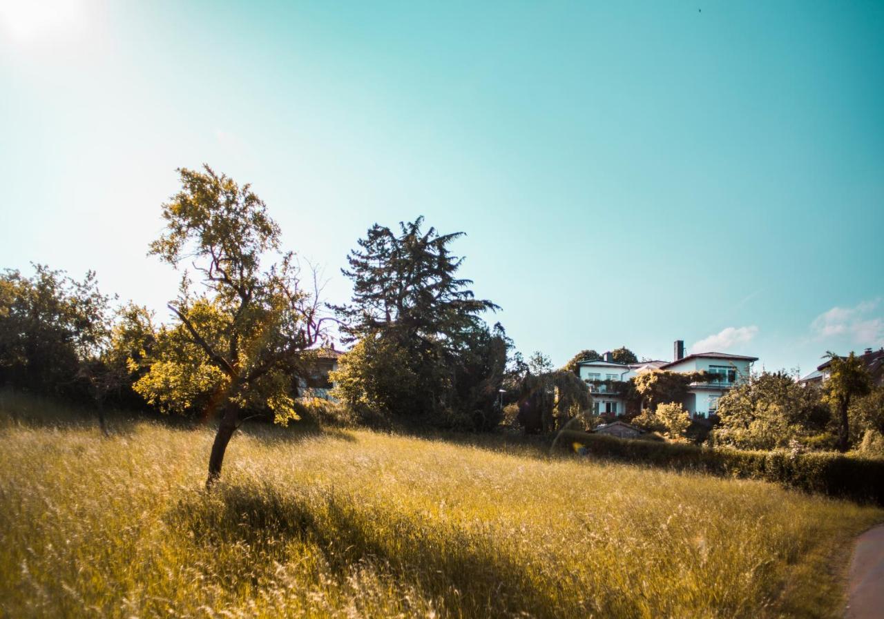 Bed & Breakfast Unter Den Linden Hungen 外观 照片